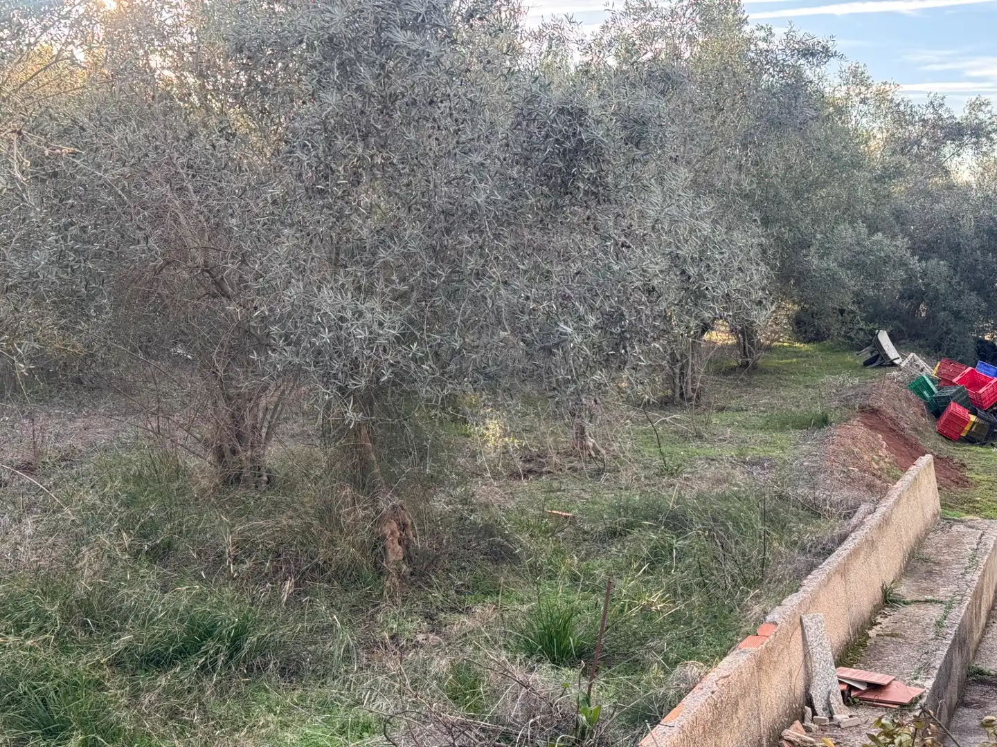 Casa o chalet en venta en Cehegín con Jardín privado, Trastero y Balcón