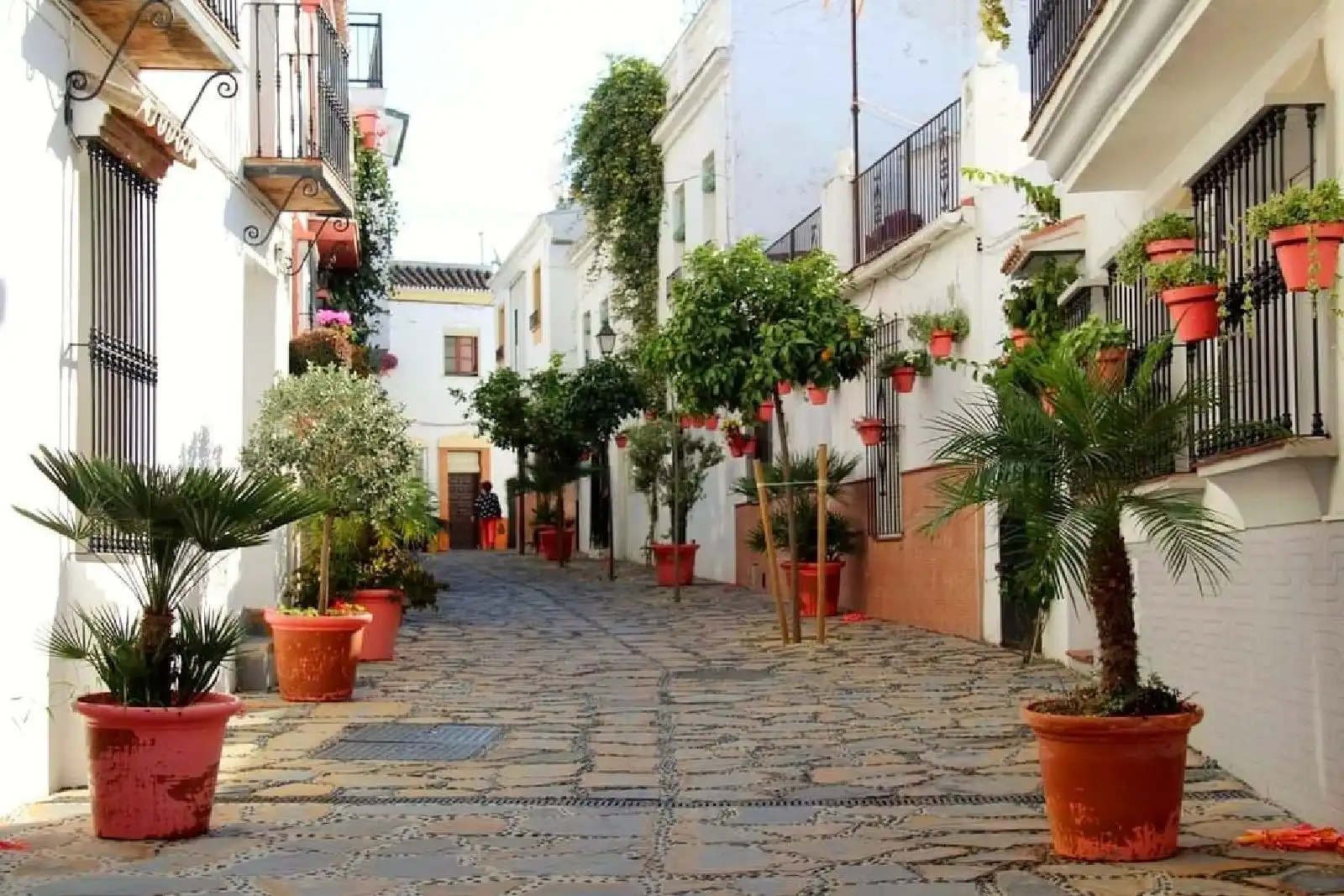 Inmuebles singulares con ascensor en venta en Estepona Pueblo, imagen 2