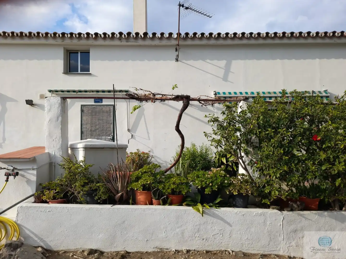 Jardí de Finca rústica en venda en Mijas