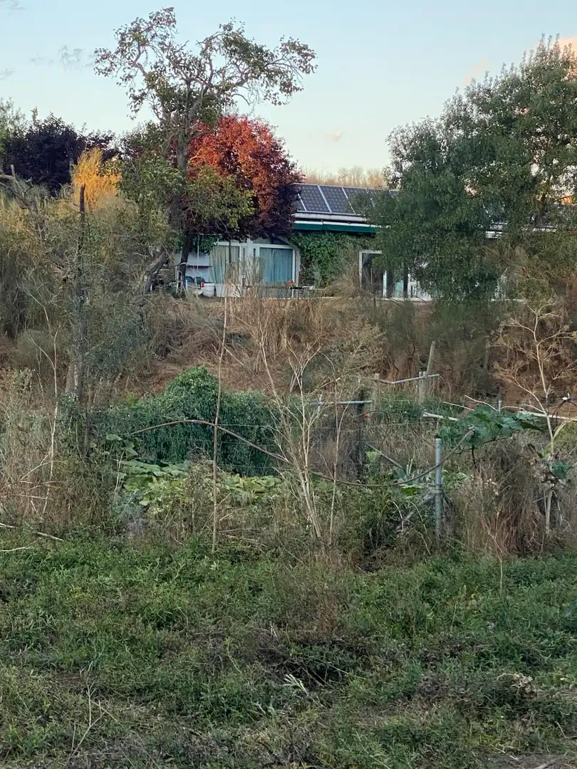 Jardí de Finca rústica en venda en Valoria la Buena amb Jardí privat i Piscina