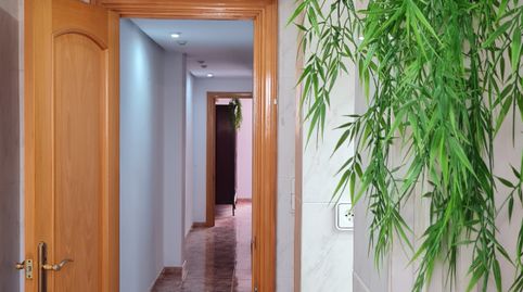 Foto 5 de Piso en venta en Carrer Reina Victoria, 56, Pont Nou - Corazón de Jesús, Elche / Elx