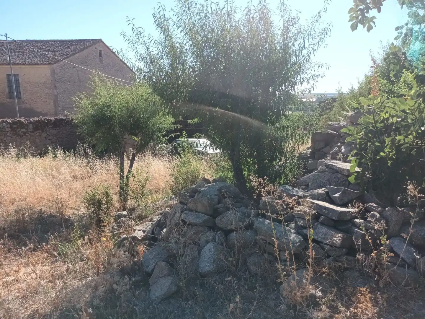 Terrenos y solares en venta en Ledesma, imagen 5