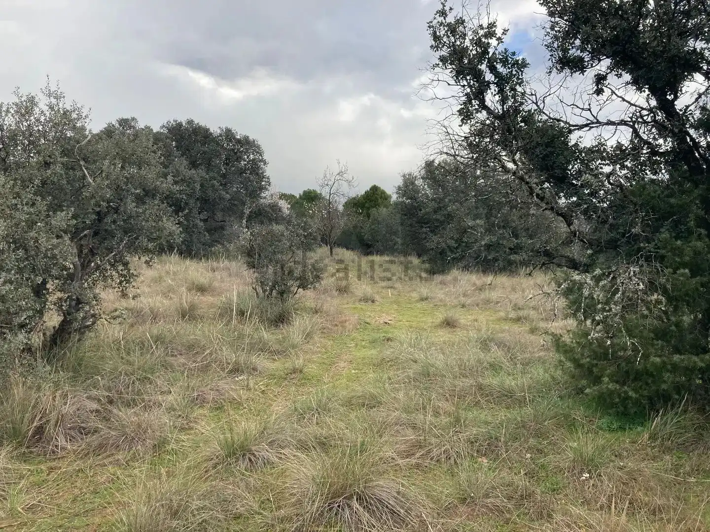 Residential land for sale in Urbanización Sotogrande 3, imagen 9