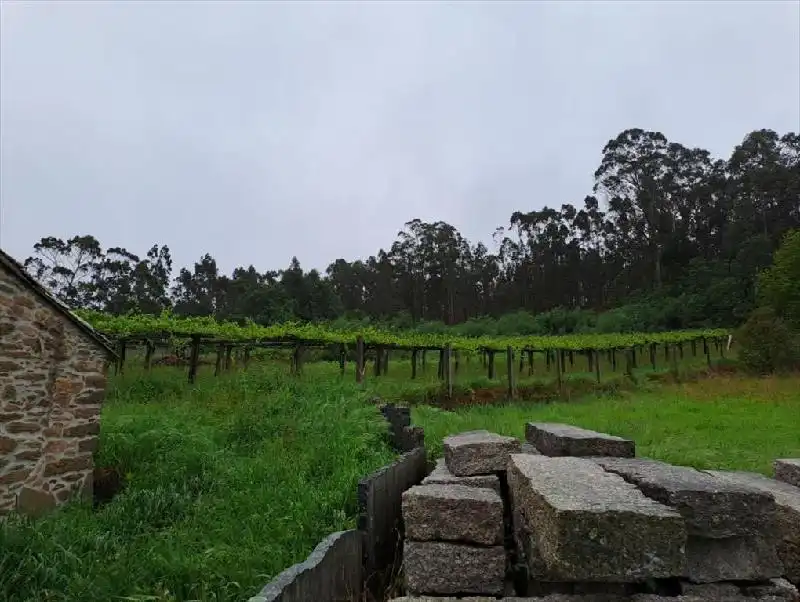 Detached homes for sale in Lugar Carballo, Gondar