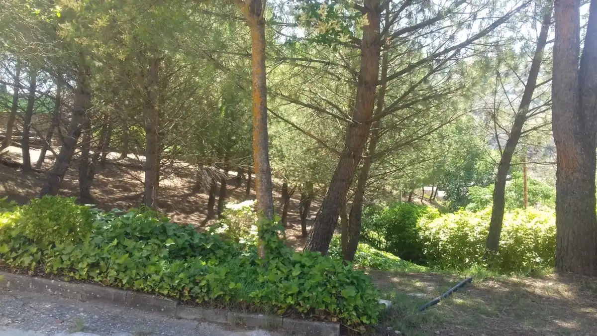Residential for sale in Loranca de Tajuña