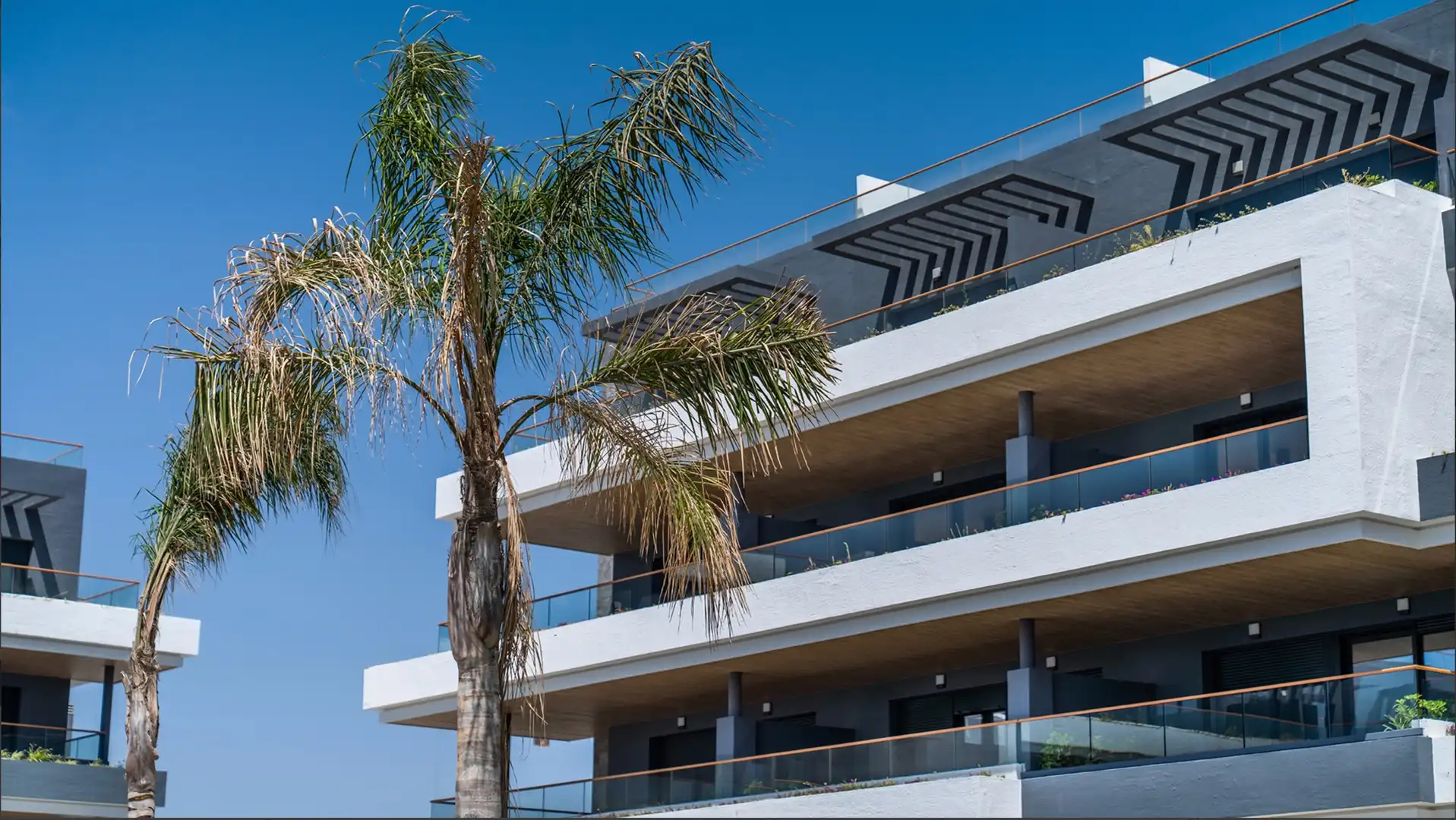 Vista exterior de Casa o xalet en venda en Torrevieja amb Aire condicionat, Terrassa i Piscina