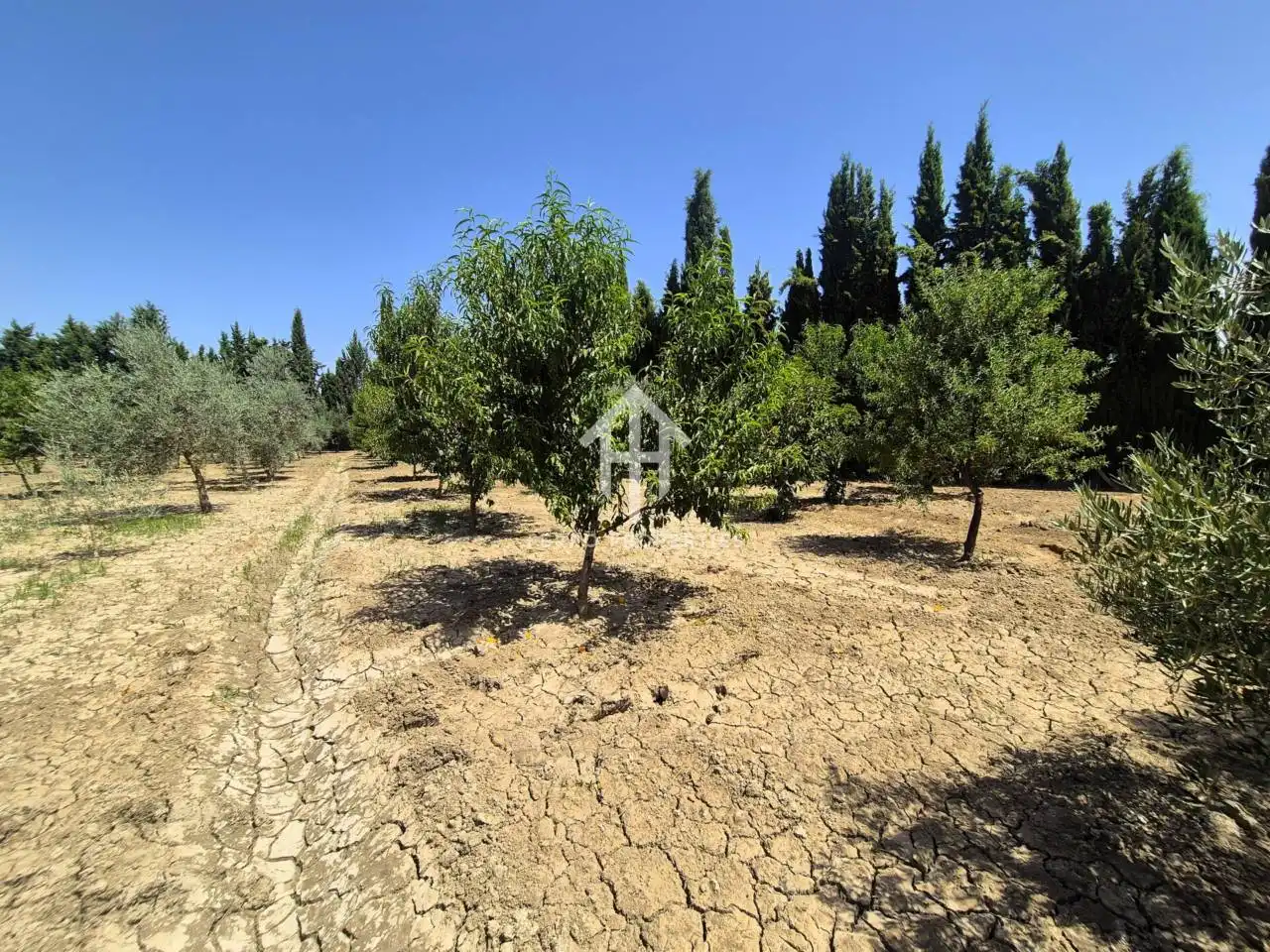 Residential land for sale in Avenida Doctor Rodríguez de la Fuente, imagen 17