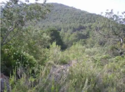 Rural land for sale in Alcossebre, imagen 3