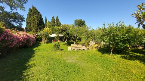 Terreno rústico de aproximadamente 900 m2 en Ullà, uso agrícola con barraca de obra de 18 años de antigüedad acondicionada para re