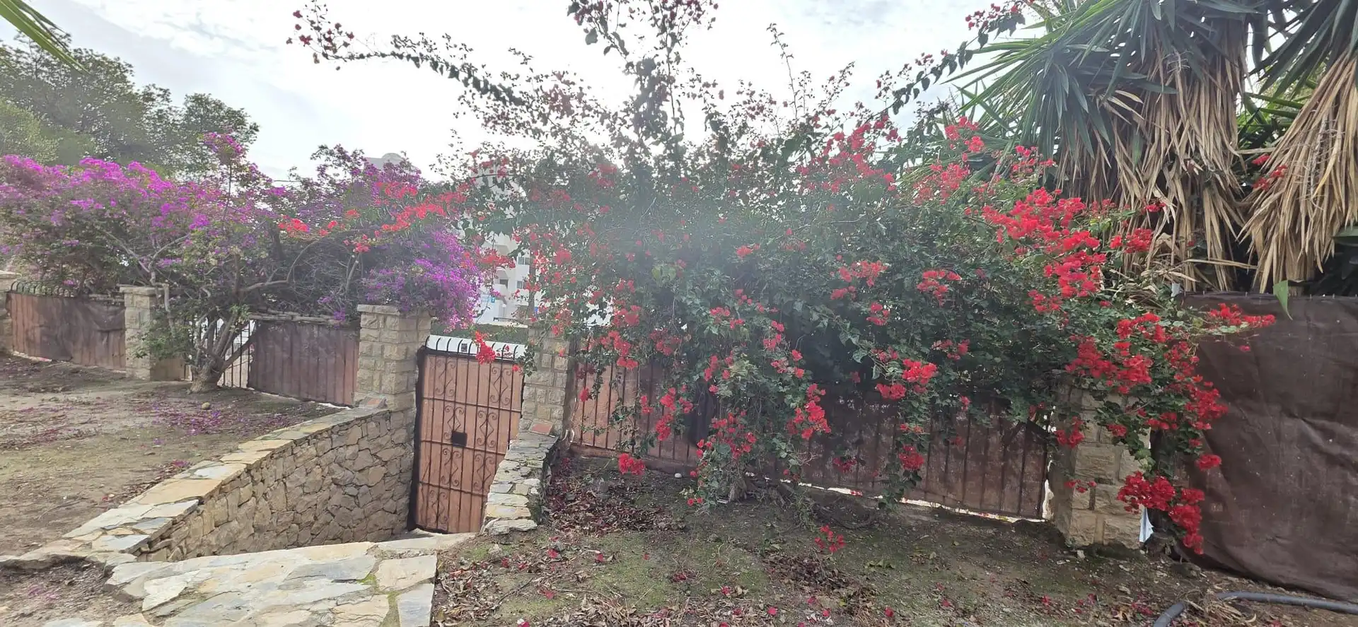 Garden of Houses for rent in Villajoyosa / La Vila Joiosa  with Air Conditioner and Internet
