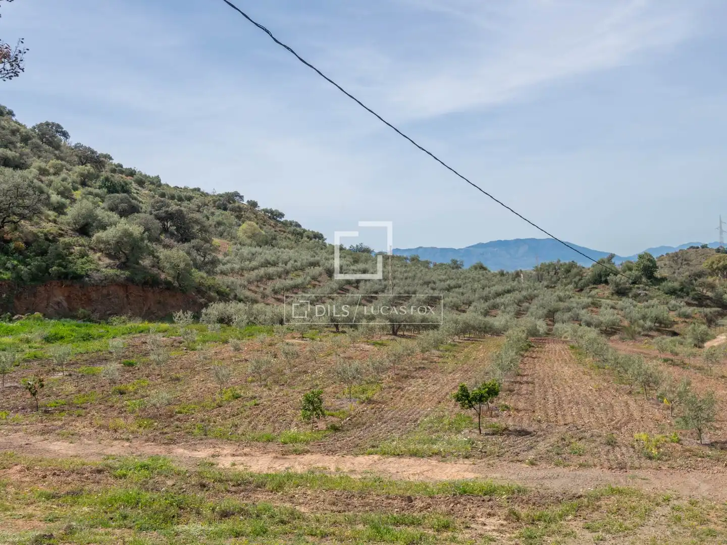 Finca rústica en venda en Málaga amb Jardí privat, Terrassa i Traster