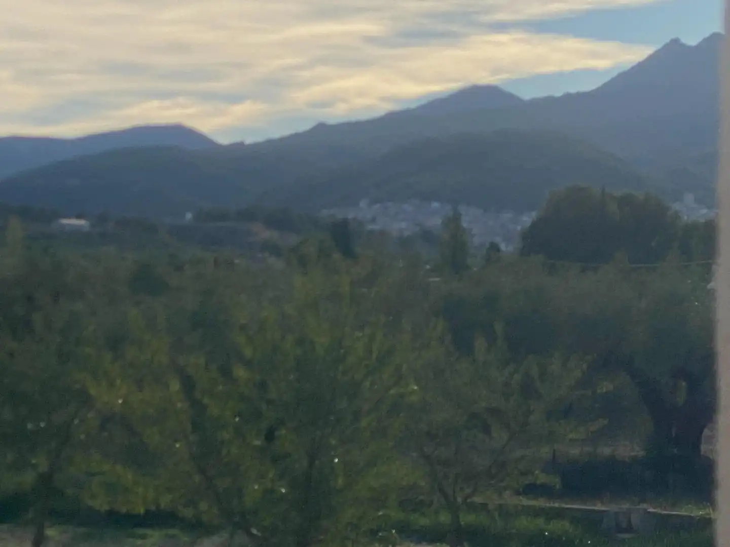 Terreny rústic en venda a Moratalla, imagen 16