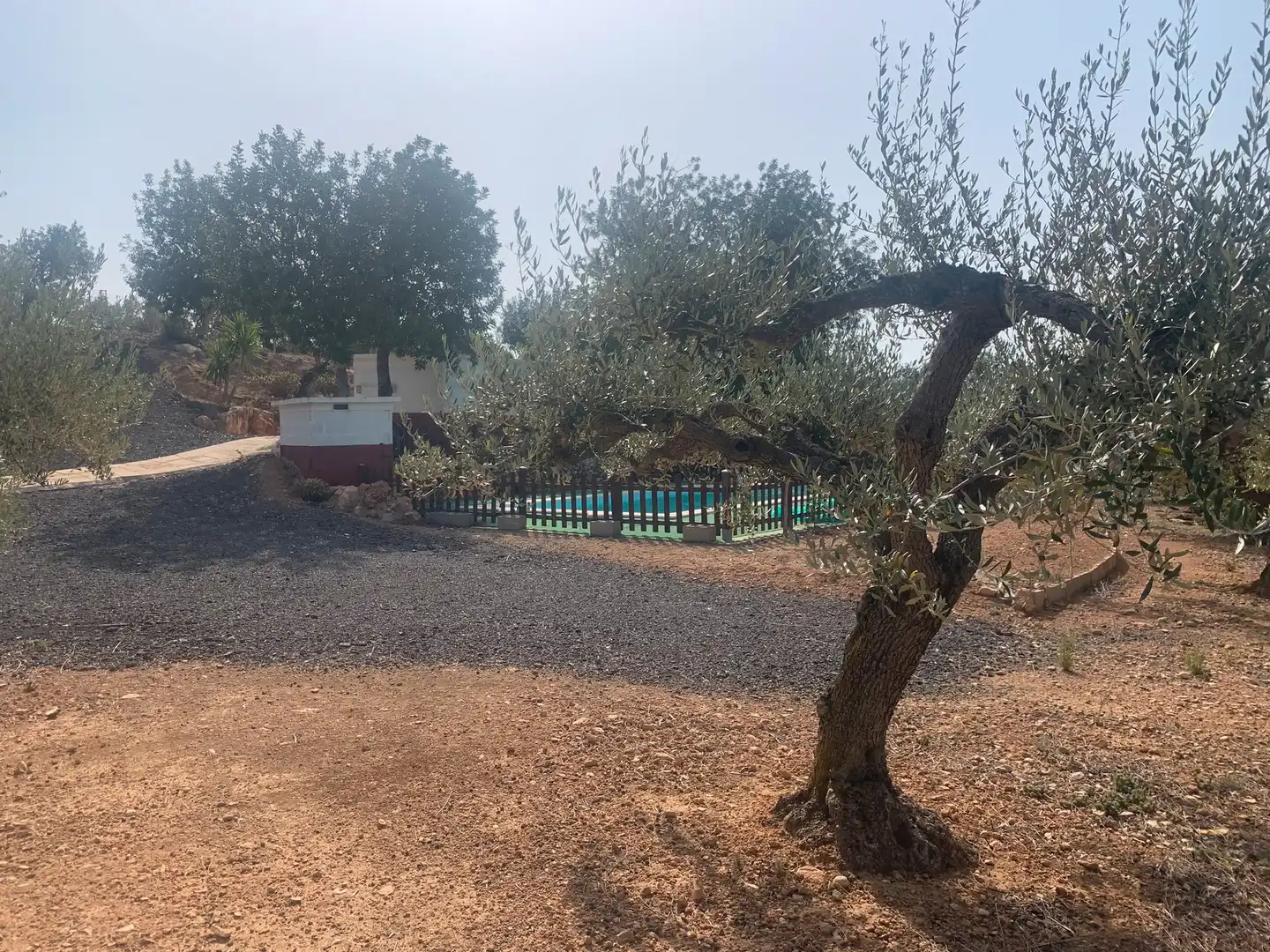 Garden of Country homes for sale in L'Ampolla  with Swimming Pool and Furnished