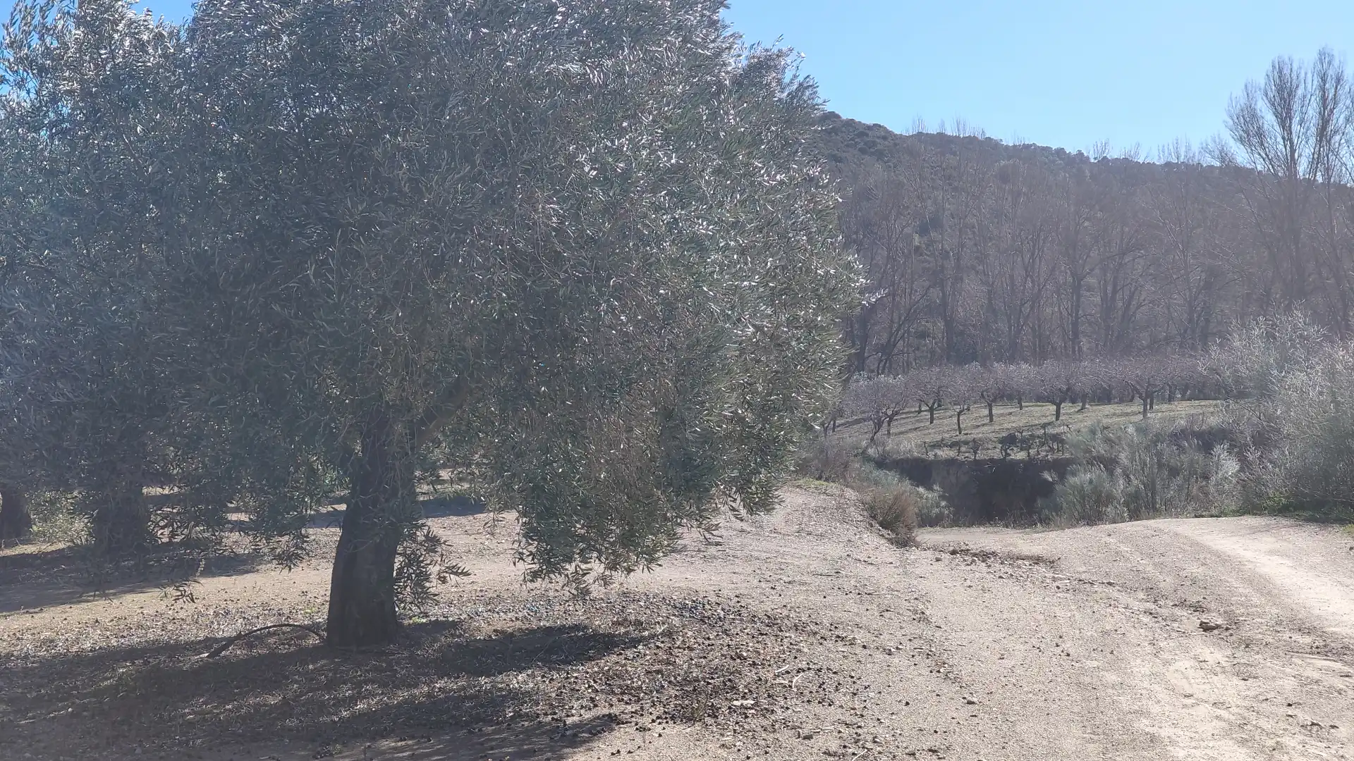 Terrenys i solars en venda a Calle Baja, imagen 5