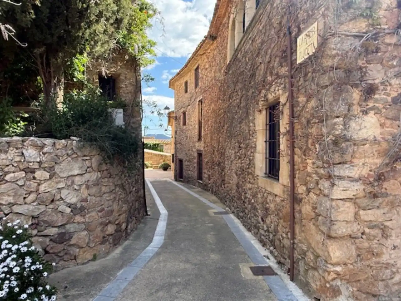 Vista exterior de Casa o xalet en venda en Torrent (Girona) amb Terrassa
