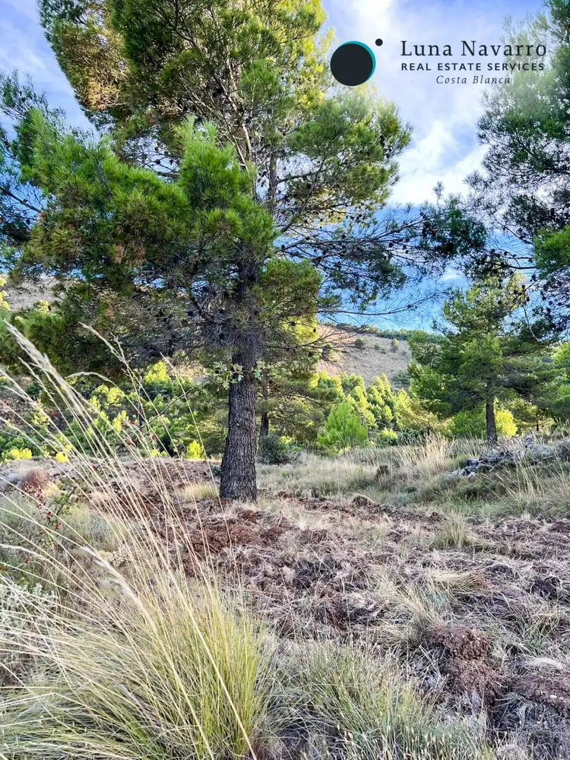 Terreno en venta en Calle San Antonio, 50, Confrides