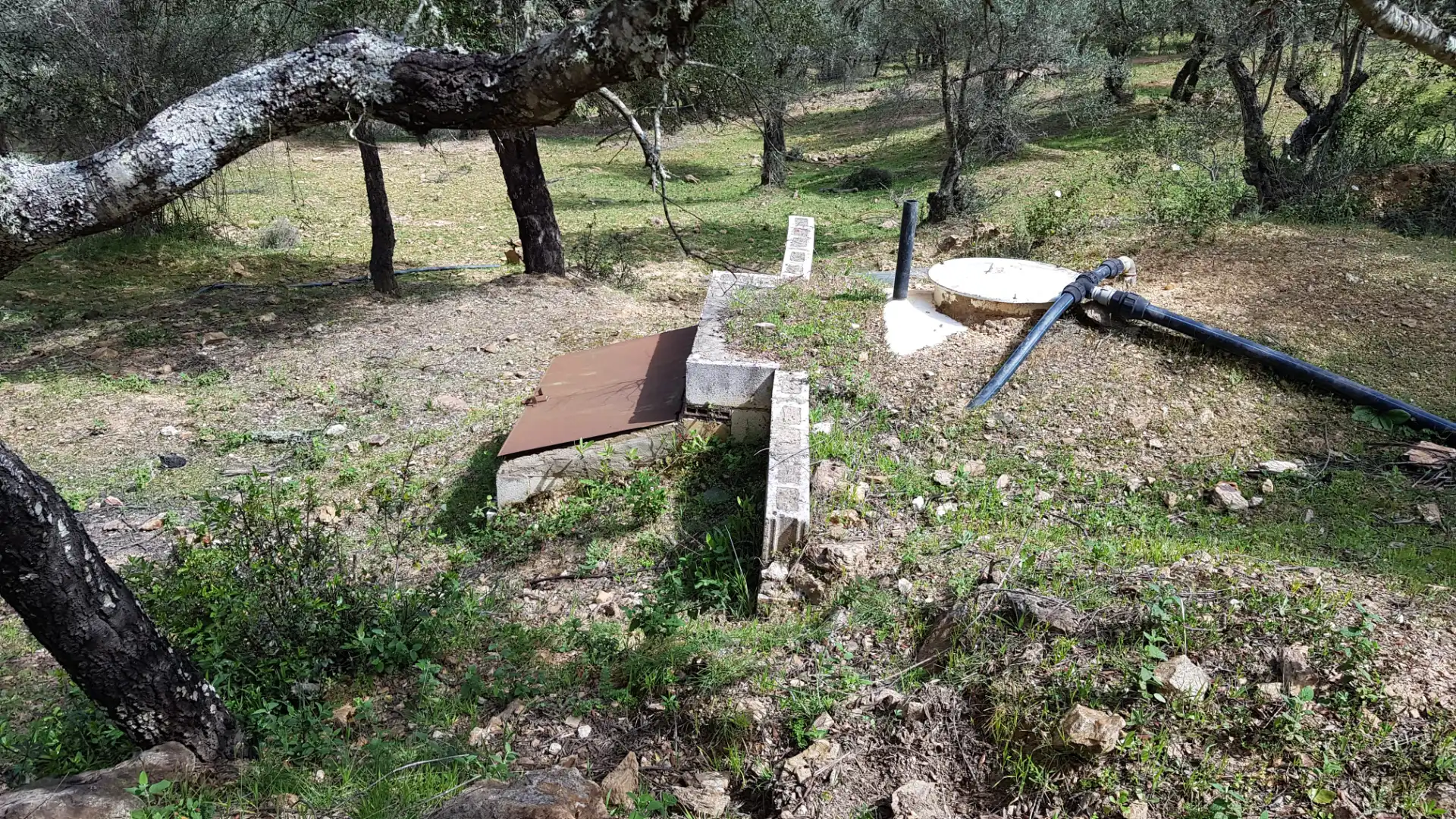 Terrenos y solares en venta en Extramuros Diseminados 5, imagen 69