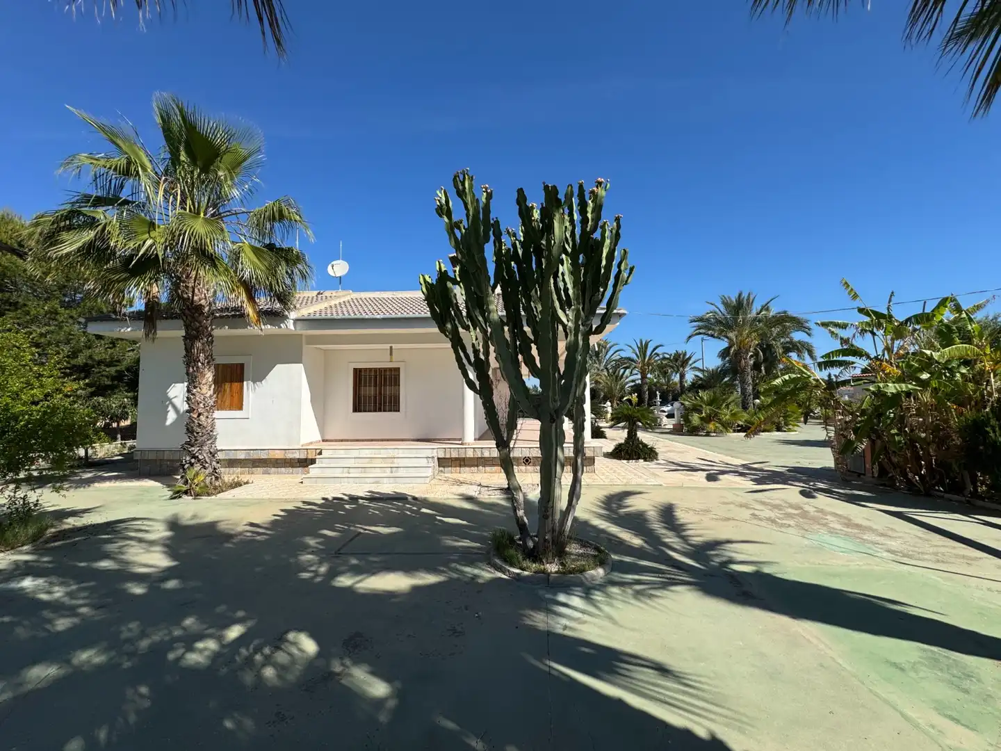 Vista exterior de Casa o chalet en venta en Elche / Elx con Aire acondicionado, Jardín privado y Terraza