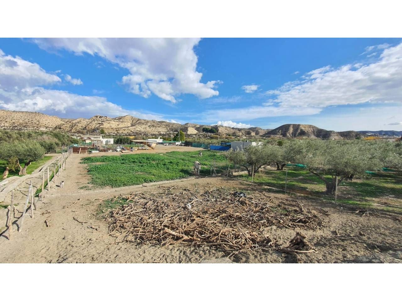 House or chalet for sale in Santa Cruz de Marchena  with Terrace