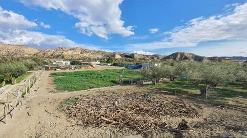 Photo 2 of House or chalet for sale in Meson , Santa Cruz de Marchena, Almería