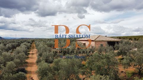 SE VENDE PARCELA DE 22.650M2 CON CASA LEGALIZADA, POZO PROPIO LEGALIZADO, OLIVAR, A 10 MIN DE ANTEQUERA., immagine 2