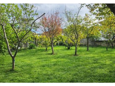 Terreno residenziale in vendita a Universidad