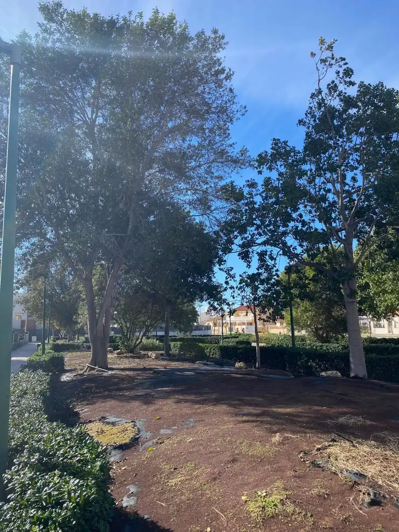 Vista exterior de Planta baixa en venda en Pilar de la Horadada amb Terrassa, Piscina i Piscina comunitària