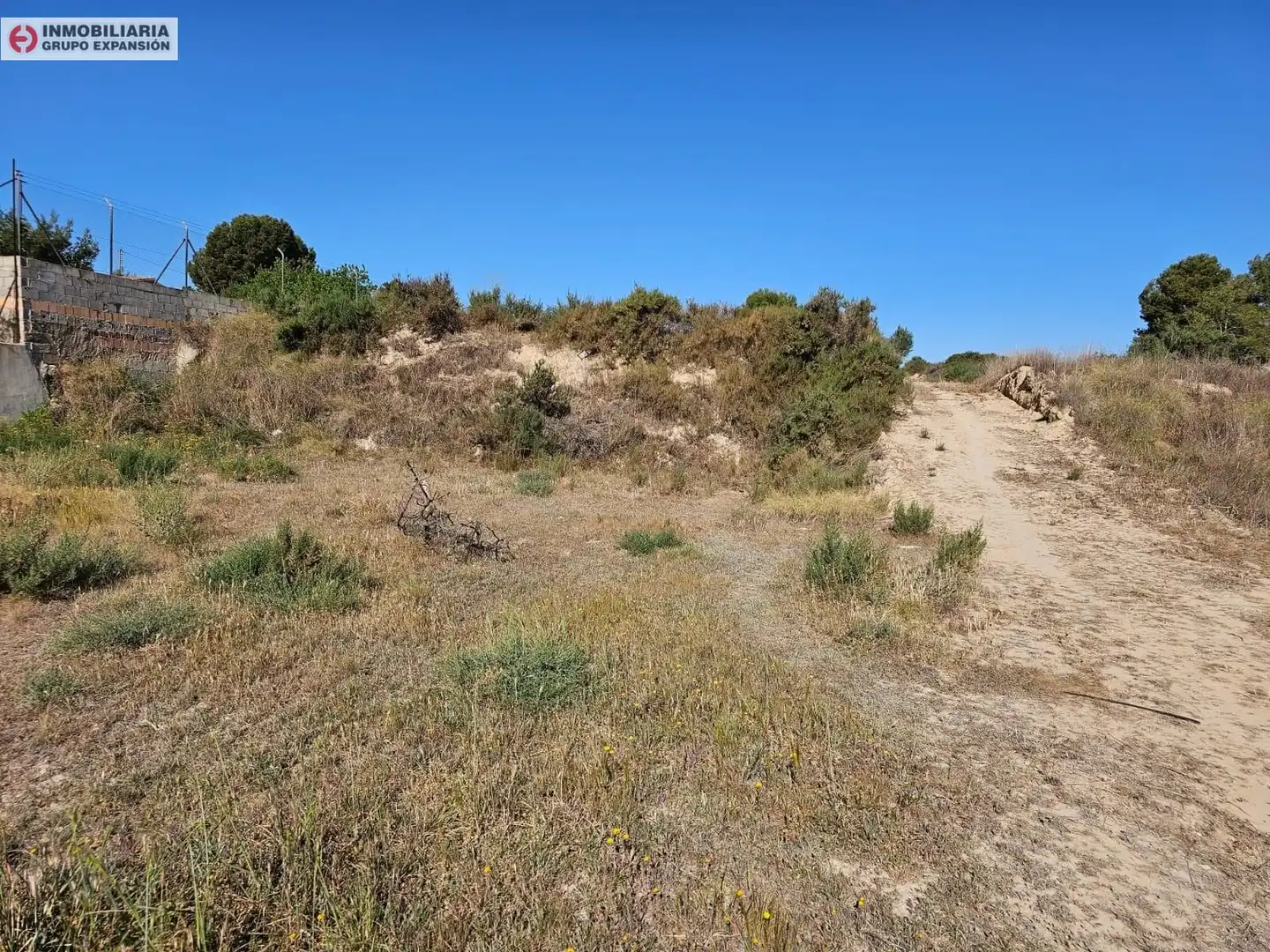 Houses for sale in Aspe