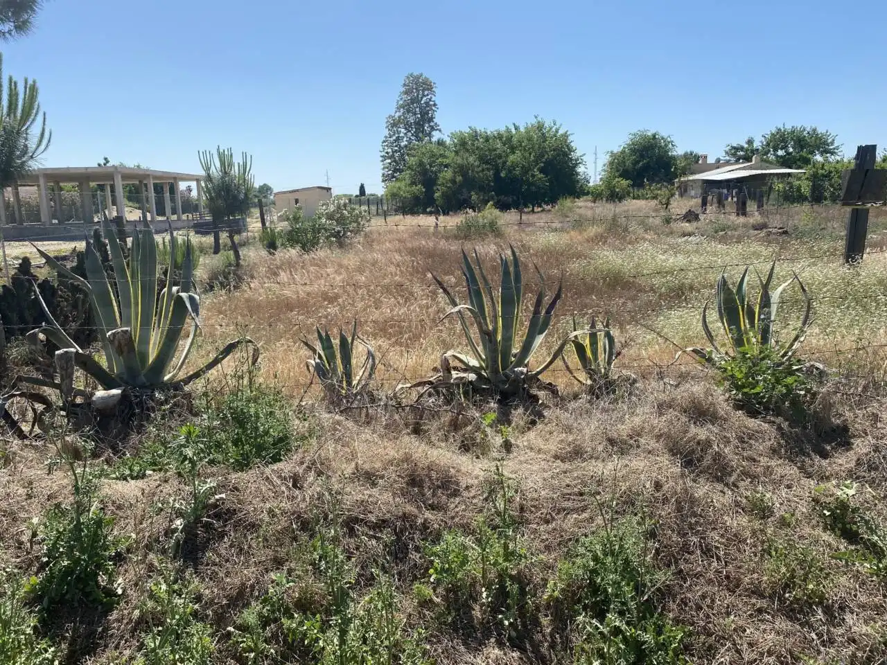 Terreny residencial en venda a Villanueva de la Serena, imagen 5