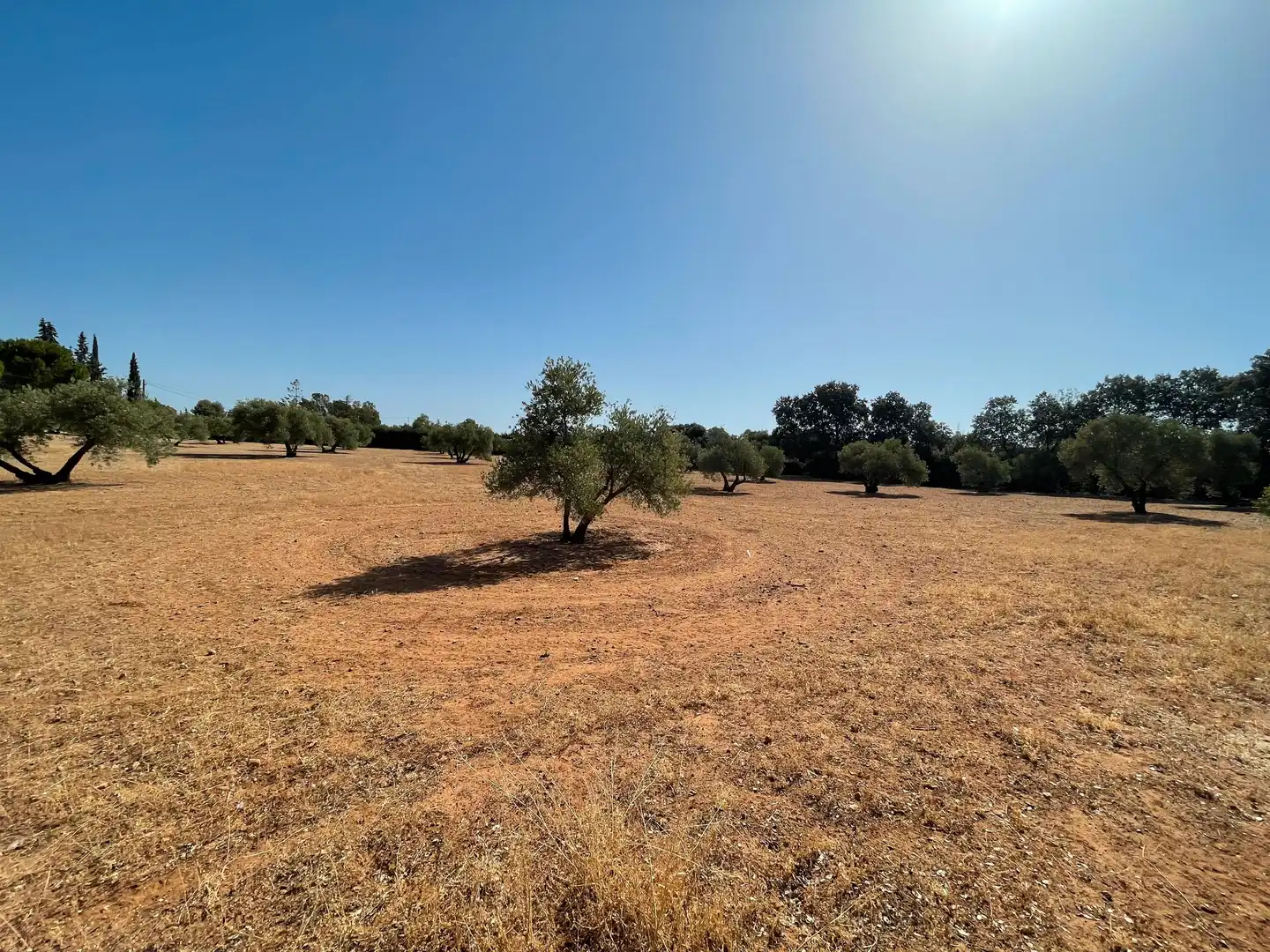 Terreni e lotti in vendita a Baeza, imagen 7