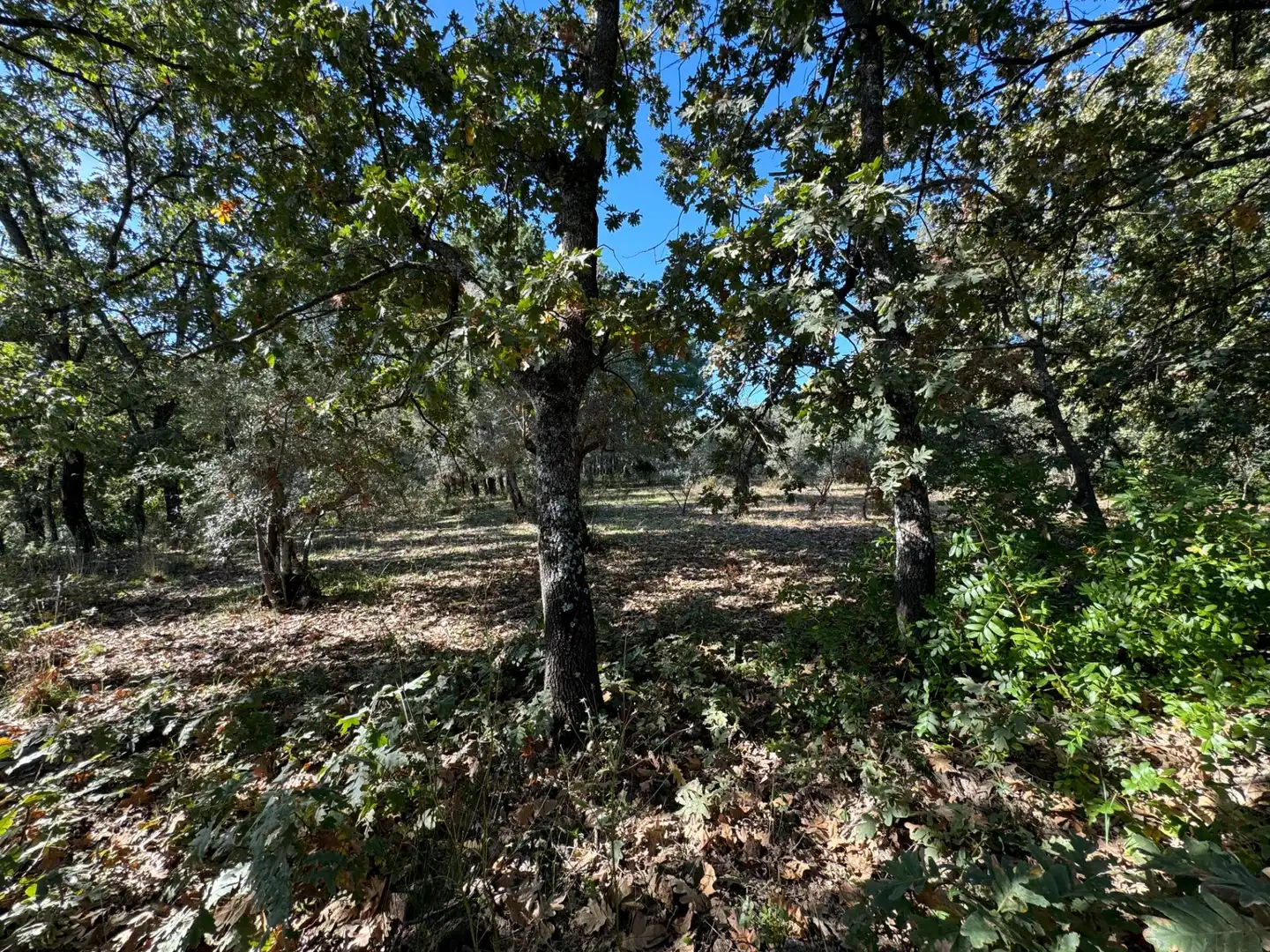 Finca rústica en venta en Candeleda con Jardín privado