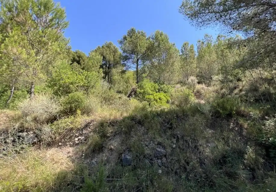 Rural land for sale in Borriol, imagen 4