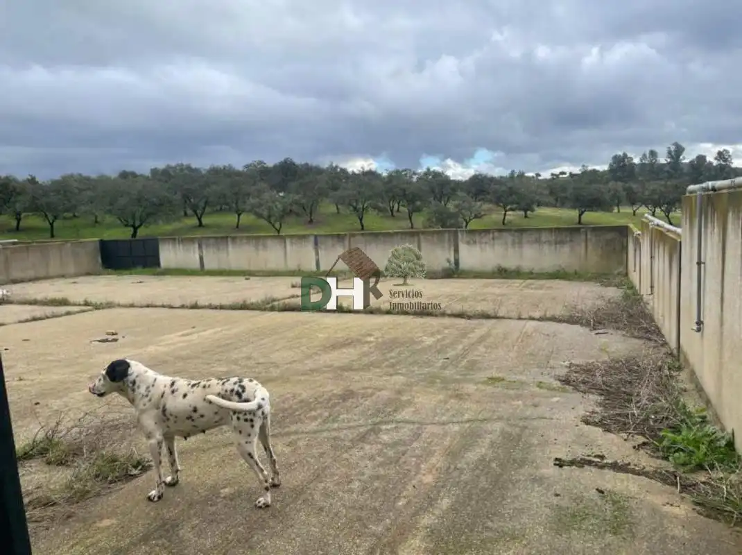 Terreni e lotti in vendita a El Carmen - Cardeñas, imagen 6