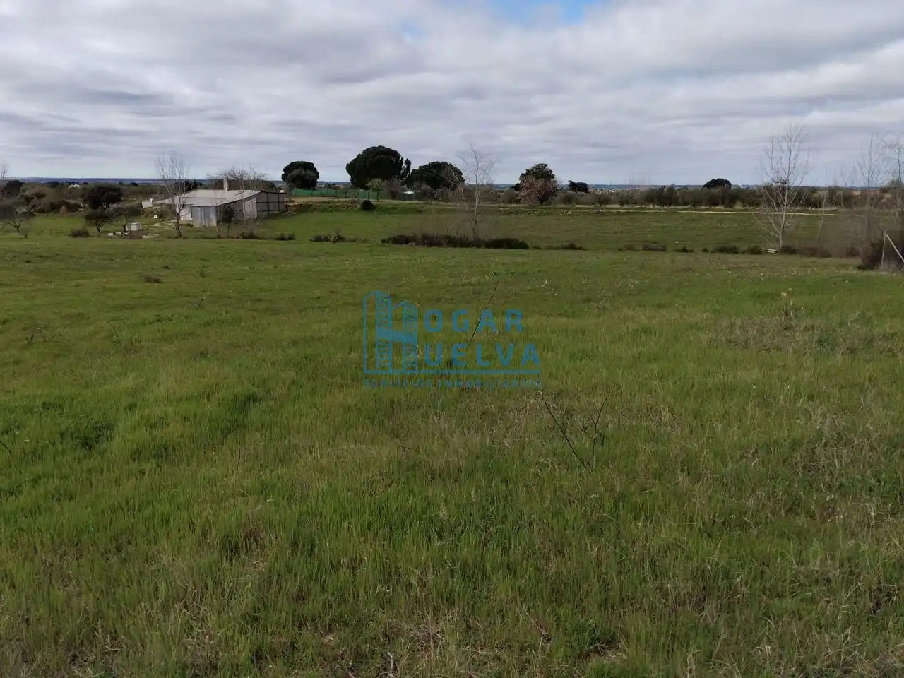Finca rústica en venda en Bollullos Par del Condado amb Terrassa