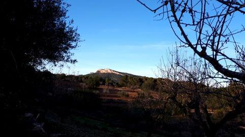 Photo 4 of Residential for sale in Disseminat S Espinagar, Manacor Centre, Manacor