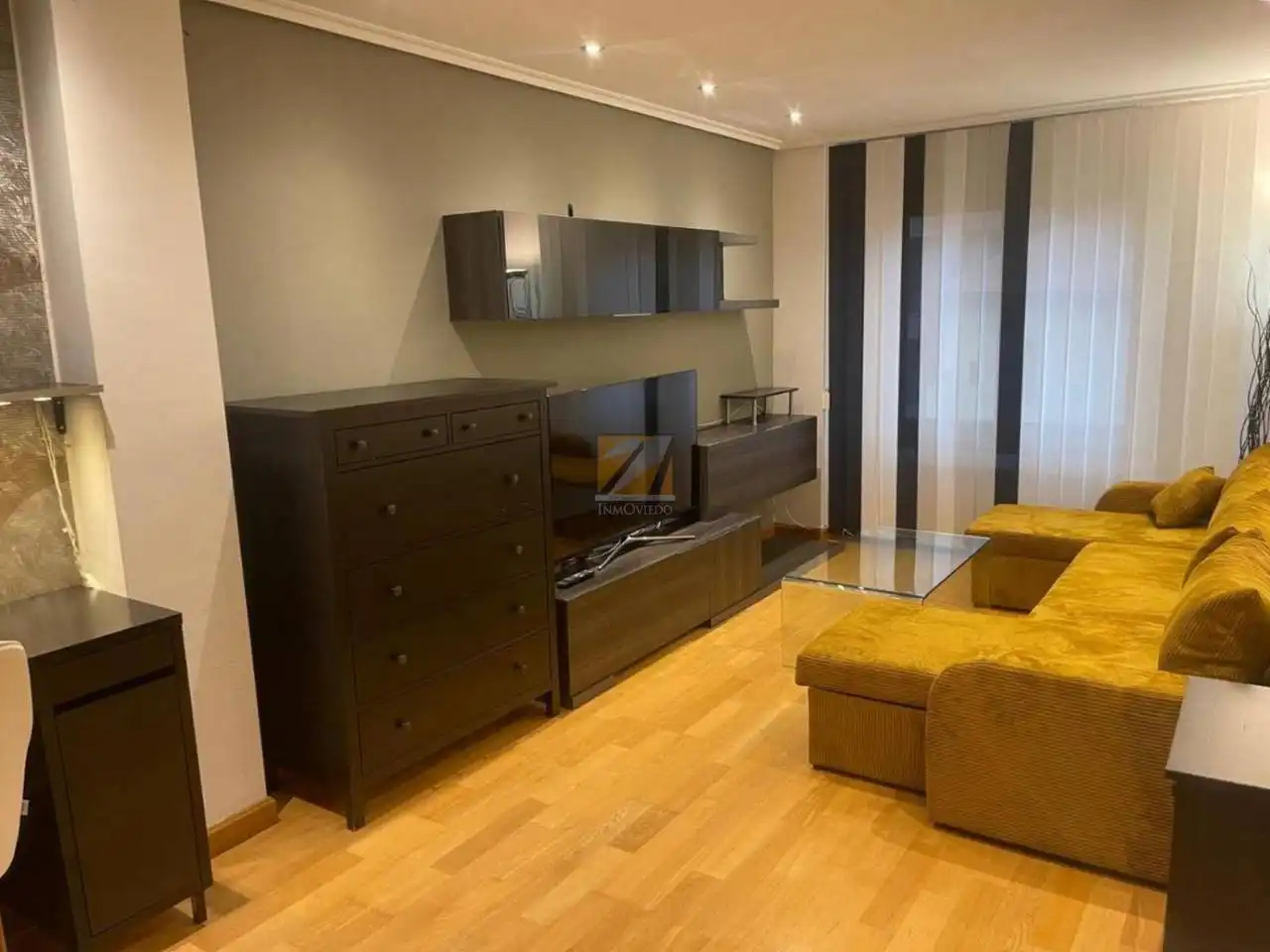 Sala d'estar de Pis de lloguer en Oviedo  amb Calefacció, Parquet i Moblat