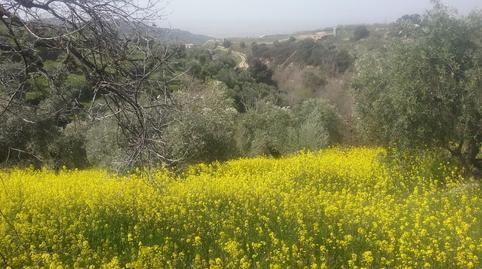 Foto 5 de Terreno en venta en La Paz,  Granada Capital