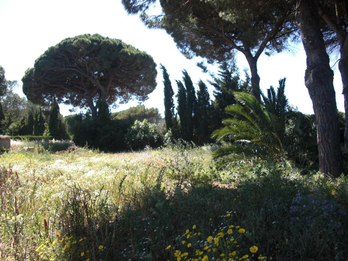 Jardí de Finca rústica en venda en Vejer de la Frontera