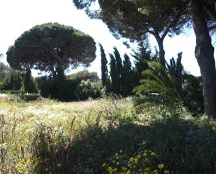 Garden of Country house for sale in Vejer de la Frontera