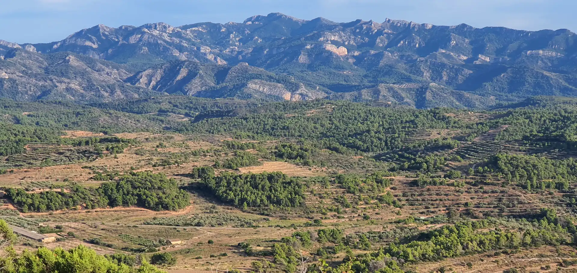 Wohnbaugrundstück zum Verkauf in El Pinell de Brai, imagen 19