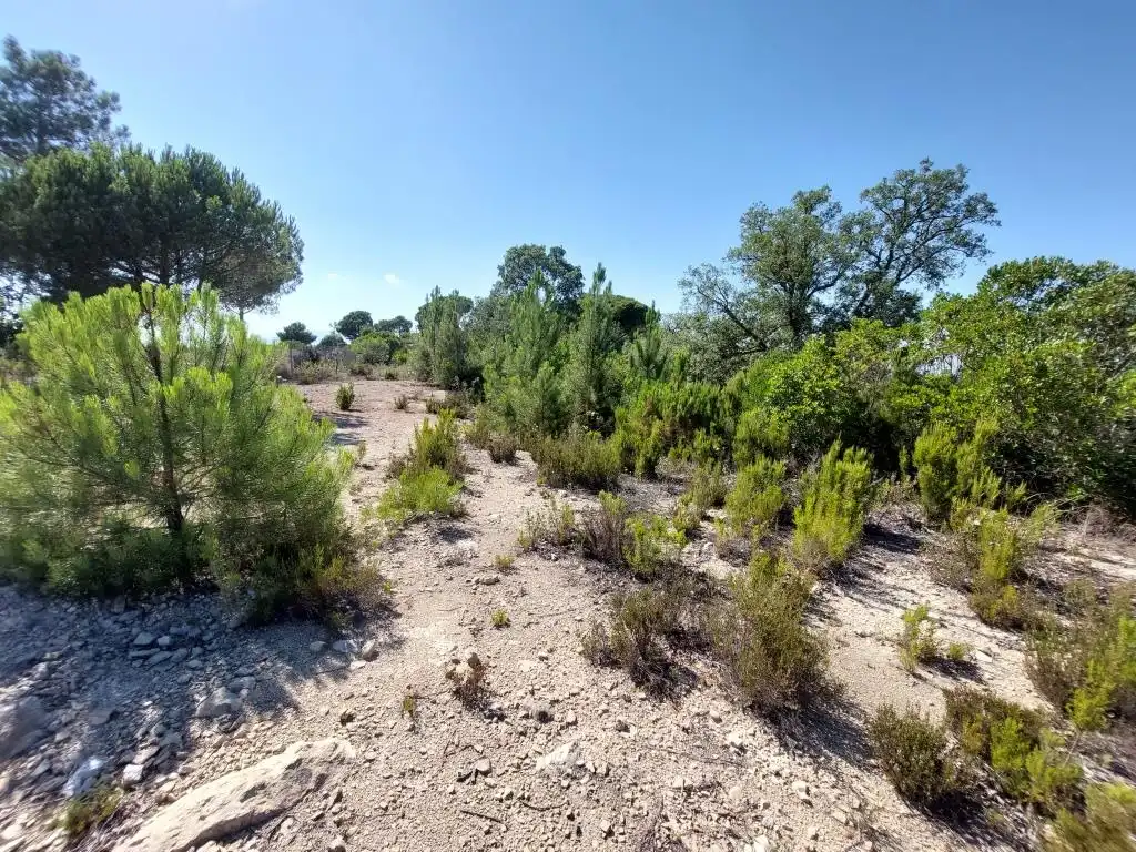 Residencial en venda a Carrer Illa, 5, Lloret Residencial - Montlloret