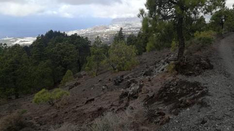 Photo 5 of Land for sale in Las Manchas Polígono 53, El Paso, Santa Cruz de Tenerife