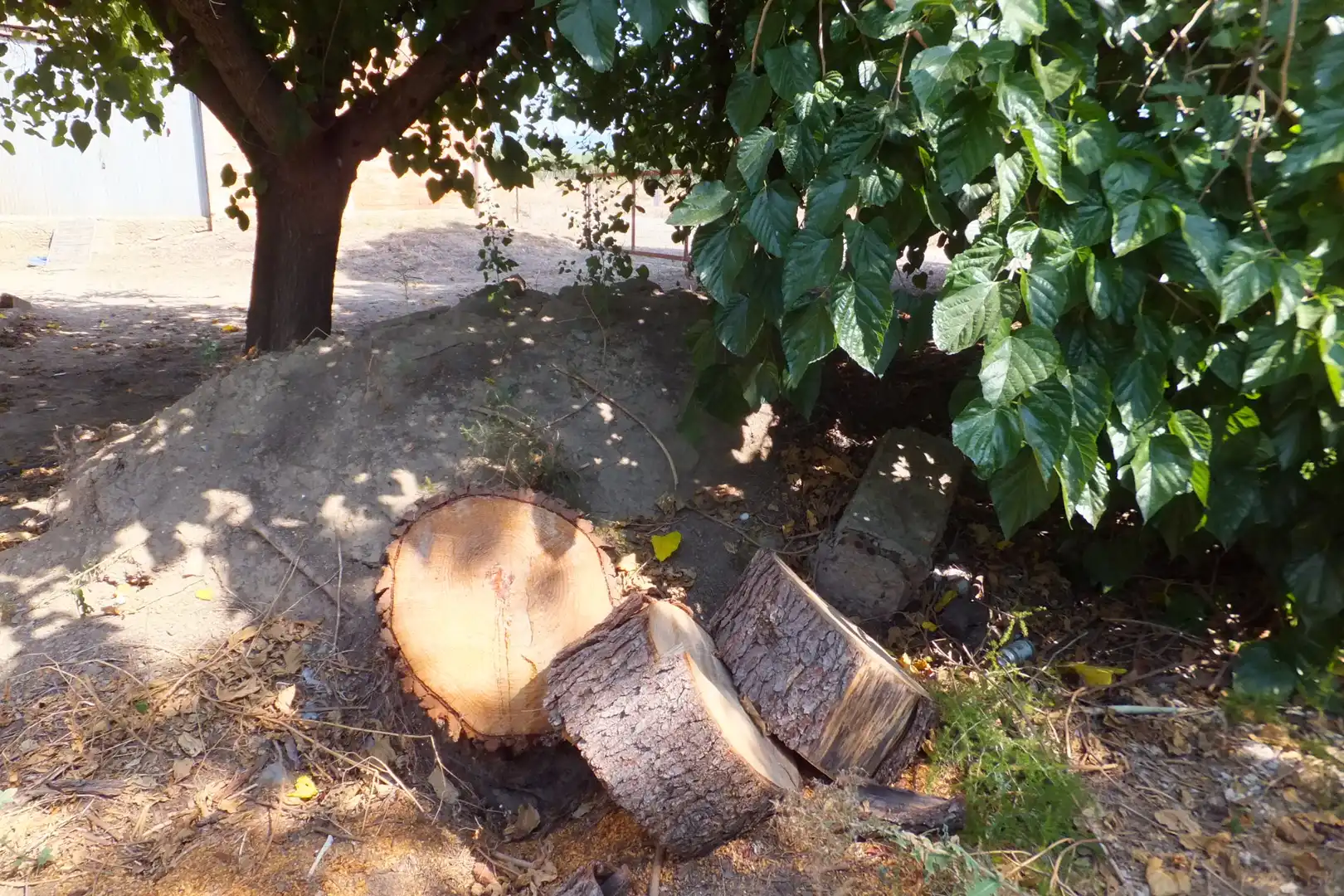 Terreno rústico en venta en Vial Camino 20, imagen 34