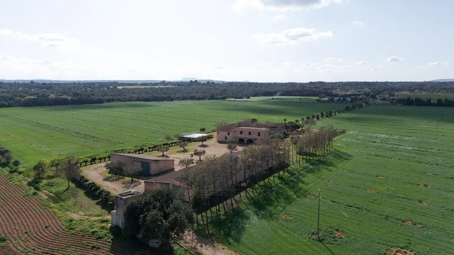 Maison avec jardin à vendre à Inca - Carrer del Rei, imagen 6