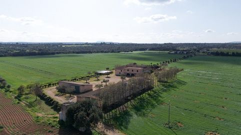 Foto 5 de Casa o chalet en venta en Inca - Carrer del Rei, Alaró, Illes Balears