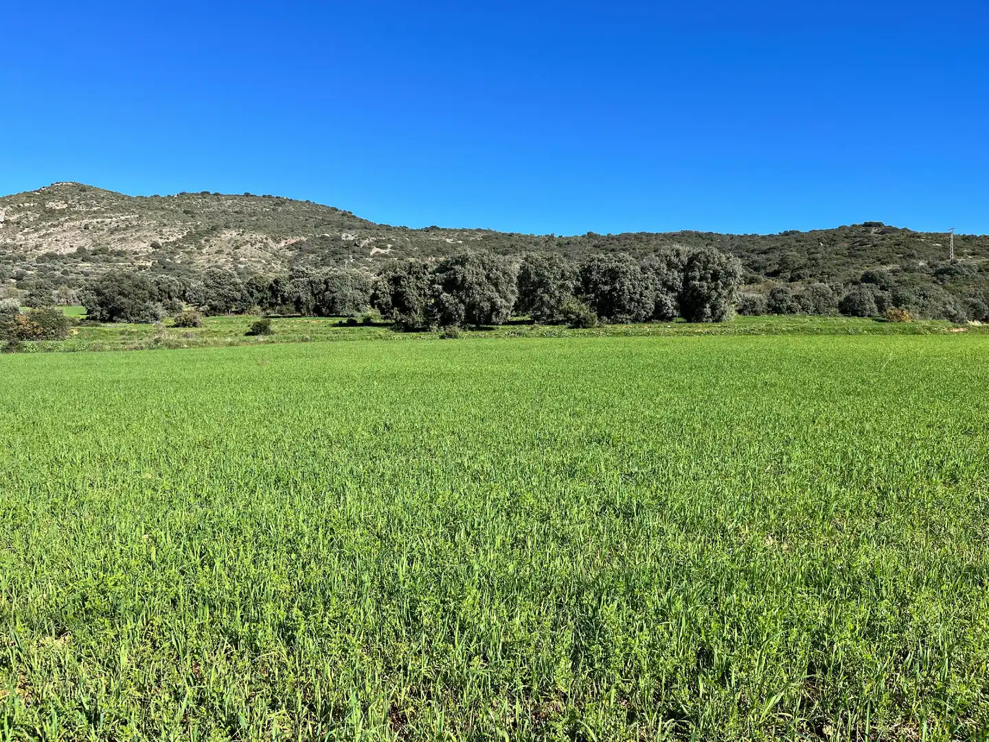 Terreni e lotti in vendita a Alquézar, imagen 6