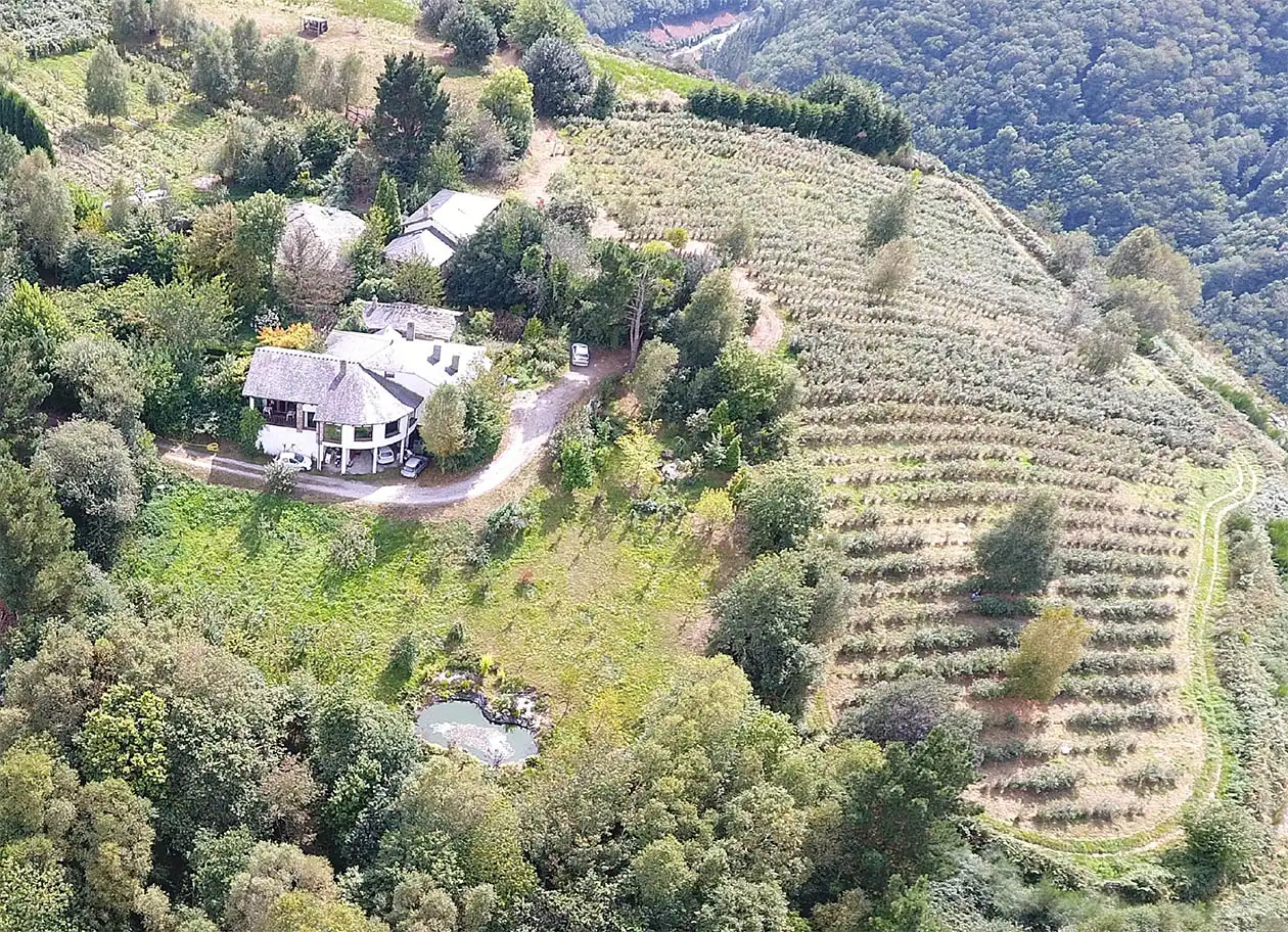 Casa o chalet en venta en A Pontenova   con Jardín privado