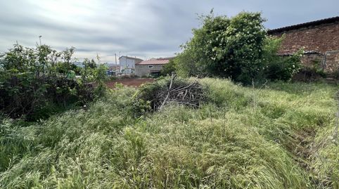 HUERTO URBANO EN VILAMITJANA, imatge 4