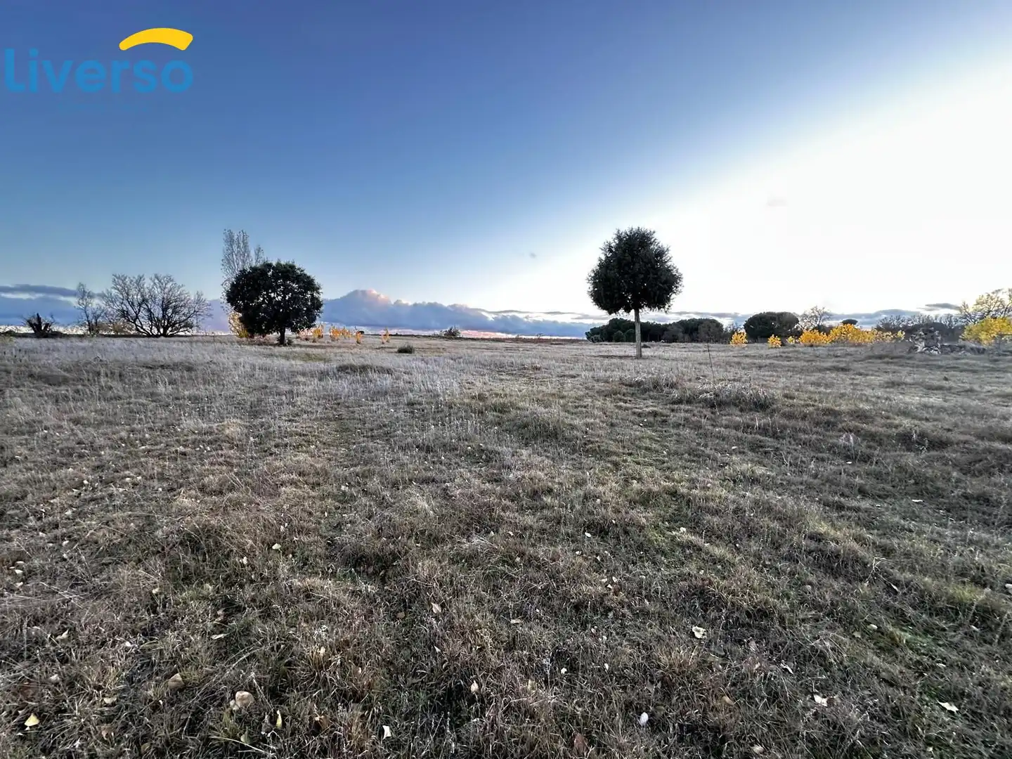 Terreno rústico en venta en Allendeduero, imagen 5