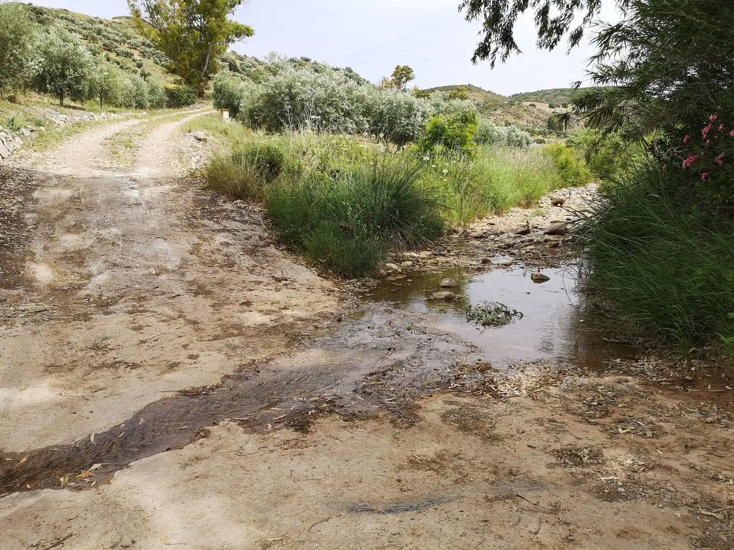 Vista exterior de Finca rústica en venda en Antequera amb Traster